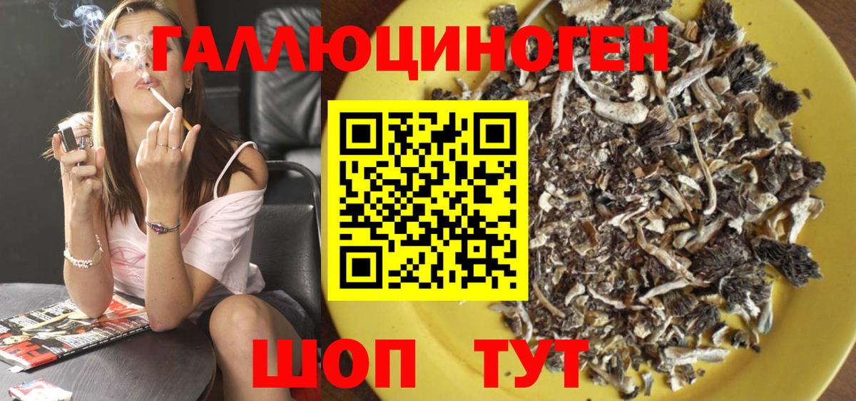 Галлюциногенные грибы GOLDEN TEACHER Семилуки